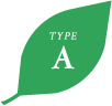 TYPE A