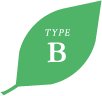 TYPE B