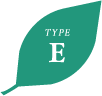 TYPE E