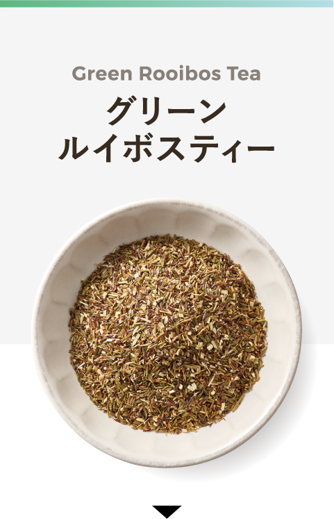 Green Rooibos Tea グリーンルイボスティー