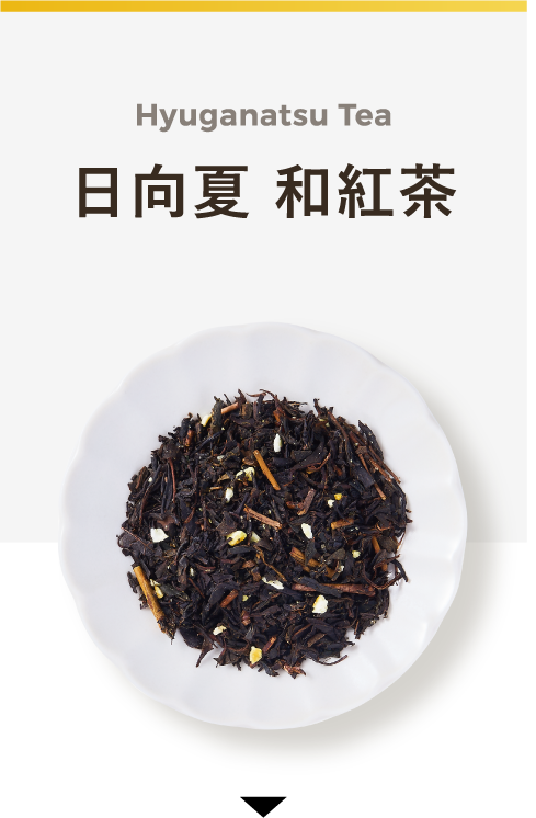 Hyuganatsu Tea 日向夏 和紅茶