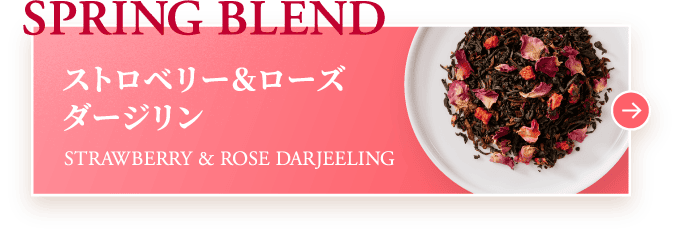 SPRING BLEND ストロベリー＆ローズダージリン STRAWBERRY & ROSE DARJEELING