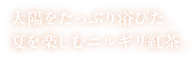 太陽をたっぷり浴びた、夏を楽しむニルギリ紅茶。