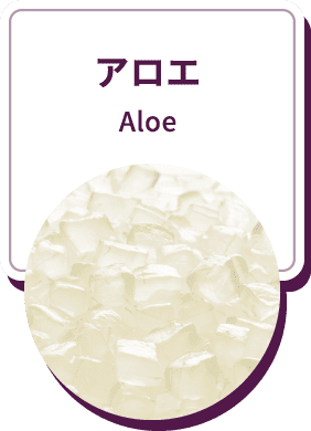 アロエ Aloe